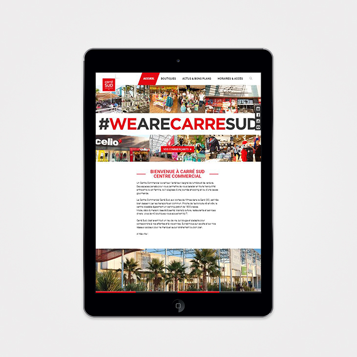 webdesign site internet Carré sud